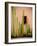 Adobe Cactus, 2015-null-Framed Photographic Print