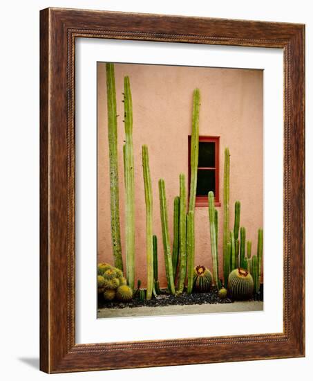 Adobe Cactus, 2015-null-Framed Photographic Print