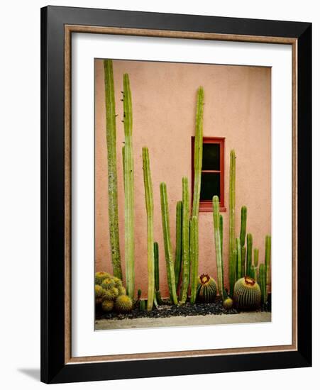 Adobe Cactus, 2015-null-Framed Photographic Print