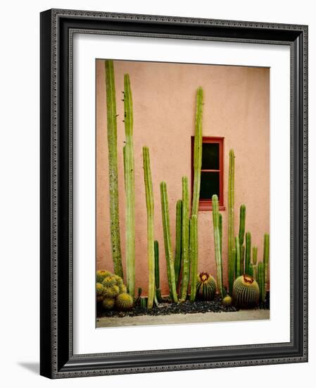 Adobe Cactus, 2015-null-Framed Photographic Print