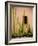 Adobe Cactus, 2015-null-Framed Photographic Print