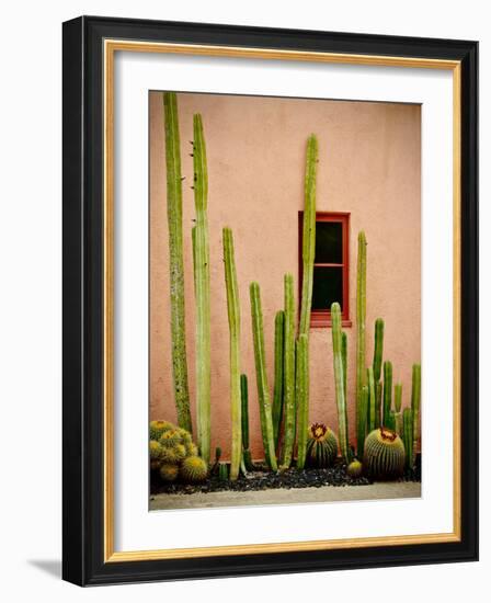 Adobe Cactus, 2015-null-Framed Photographic Print