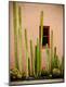 Premium Photographic Print