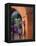 Adobe House Entry, Puerto Vallarta, Mexico-John & Lisa Merrill-Framed Premier Image Canvas