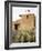 Adobe Mission, De Grazia Gallery in Sun, Tucson, Arizona, United States of America, North America-Richard Cummins-Framed Photographic Print