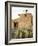 Adobe Mission, De Grazia Gallery in Sun, Tucson, Arizona, United States of America, North America-Richard Cummins-Framed Photographic Print