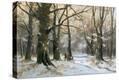 Stretched Canvas Print