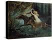 Stretched Canvas Print