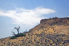 Extensive Wild Scenery on the Khumib-Dry River, Namibia, Panorama-Adolf Martens-Premier Image Canvas