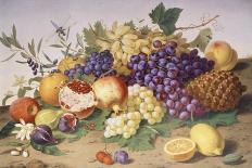 Still Life of Grapes, Pineapple, Figs and Pomegranates-Adolf Senff-Giclee Print