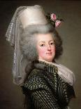 Portrait of Queen Marie Antoinette, 1793-Adolf Ulrich Wertmuller-Giclee Print