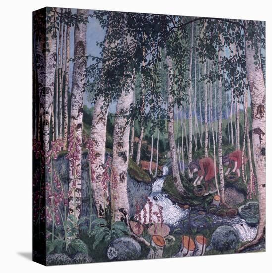 Stretched Canvas Print, , large