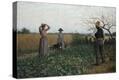 Stretched Canvas Print