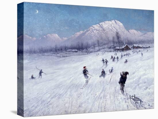 Stretched Canvas Print, , large