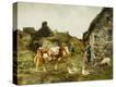Stretched Canvas Print
