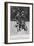 Adolphe Clement and His Wife on a Tricycle-null-Framed Photographic Print