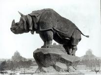 Rhinoceros, 1878, by Alfred Jacquemart-Adolphe Giraudon-Photographic Print