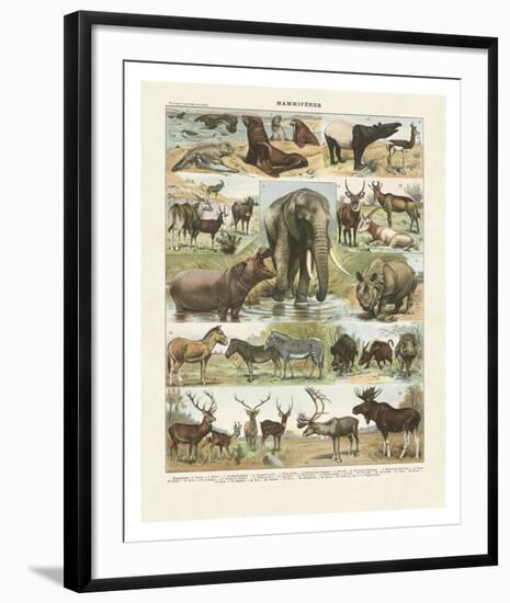 Art Print, , large