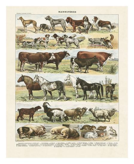 Art Print, , large