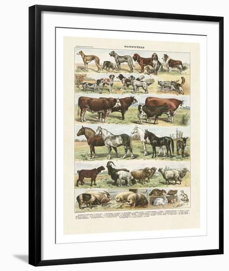 Art Print, , large
