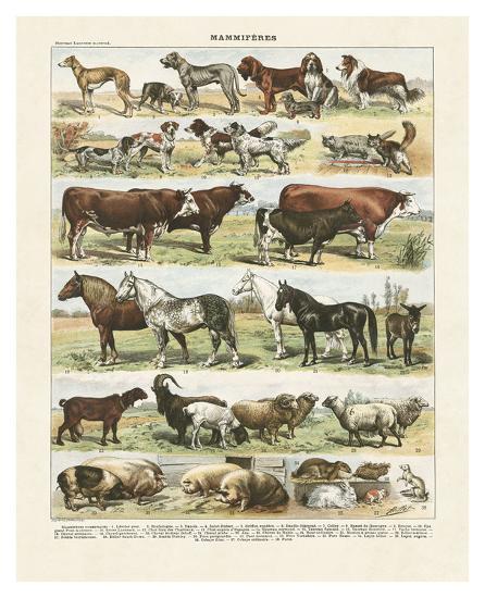 Art Print, , large