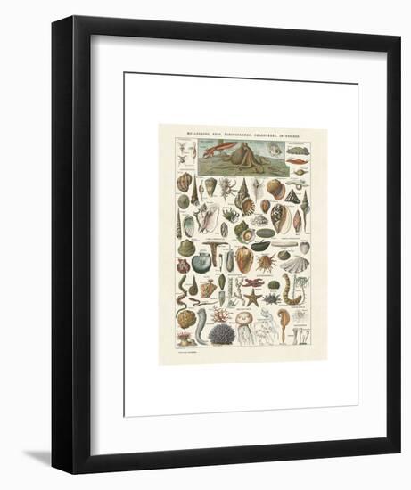 Art Print, , large