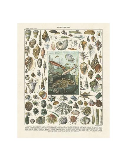 Art Print, , large