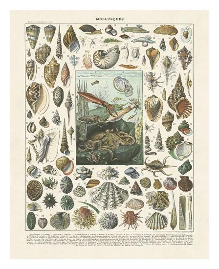 Art Print, , large
