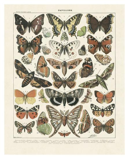 Art Print, , large