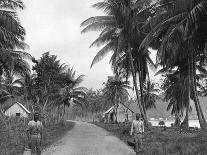 Loading Bananas, Port Antonio, Jamaica, C1905-Adolphe & Son Duperly-Giclee Print