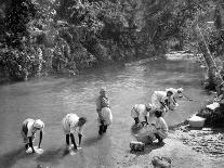Women Washing Clothes in the River, Port Antonio, Jamaica, C1905-Adolphe & Son Duperly-Giclee Print