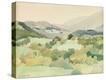 Stretched Canvas Print