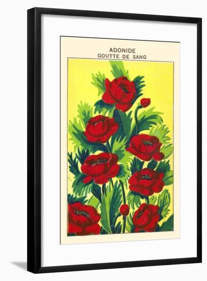 Adonide Goutte De Sang-null-Framed Art Print