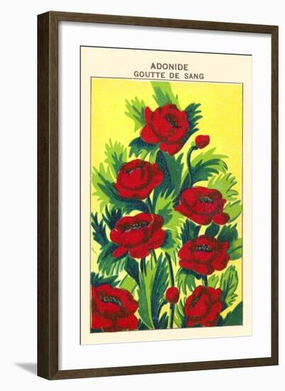 Adonide Goutte De Sang-null-Framed Art Print