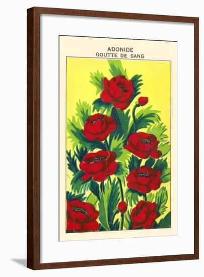 Adonide Goutte De Sang-null-Framed Art Print