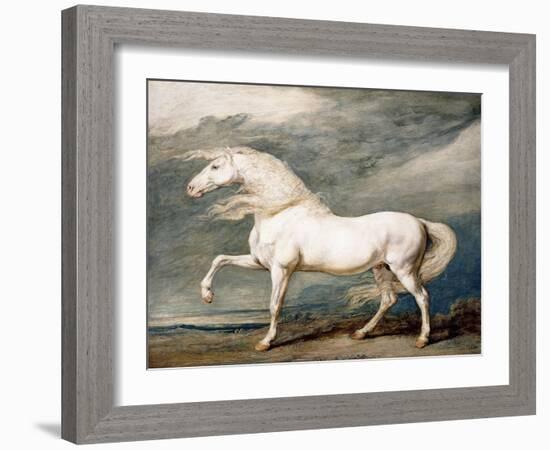 Adonis, King George III's Favourite Charger-James Ward-Framed Giclee Print