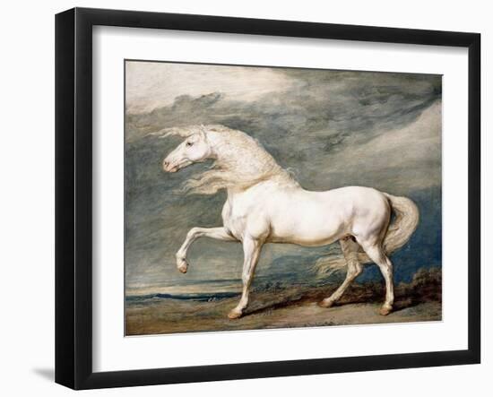 Adonis, King George III's Favourite Charger-James Ward-Framed Giclee Print