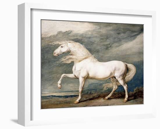 Adonis, King George III's Favourite Charger-James Ward-Framed Giclee Print