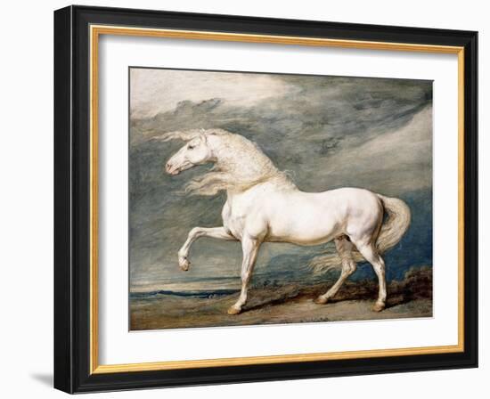 Adonis, King George III's Favourite Charger-James Ward-Framed Giclee Print