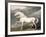 Adonis, King George III's Favourite Charger-James Ward-Framed Giclee Print