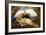 Adonis Wounded-Briton Rivière-Framed Giclee Print