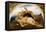 Adonis Wounded-Briton Rivière-Framed Premier Image Canvas