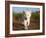 Adorable Portrait of a White Lion Cub Walking and Smiling with Direct Eye Contact.-Karine Aigner-Framed Photographic Print