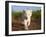 Adorable Portrait of a White Lion Cub Walking and Smiling with Direct Eye Contact.-Karine Aigner-Framed Photographic Print