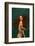 Adorable Tender Redhead Girl with Long Curly Hair Isolated over Dark Green Background. Fabolous Cur-master1305-Framed Photographic Print