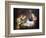 Adoration of the Child, 1619-20 (Oil on Canvas)-Gerrit van Honthorst-Framed Giclee Print