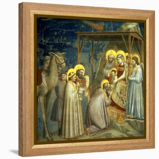 Adoration of the Magi, circa 1305-Giotto di Bondone-Framed Premier Image Canvas