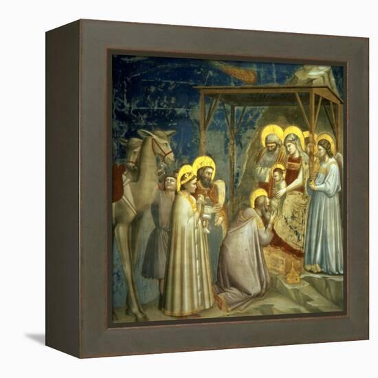 Adoration of the Magi, circa 1305-Giotto di Bondone-Framed Premier Image Canvas