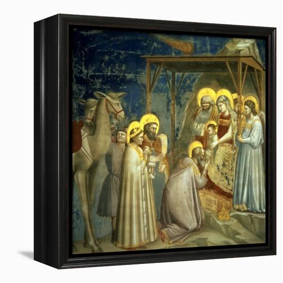 Adoration of the Magi, circa 1305-Giotto di Bondone-Framed Premier Image Canvas