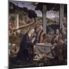 Adoration of the Shepherds-Domenico Ghirlandaio-Mounted Art Print